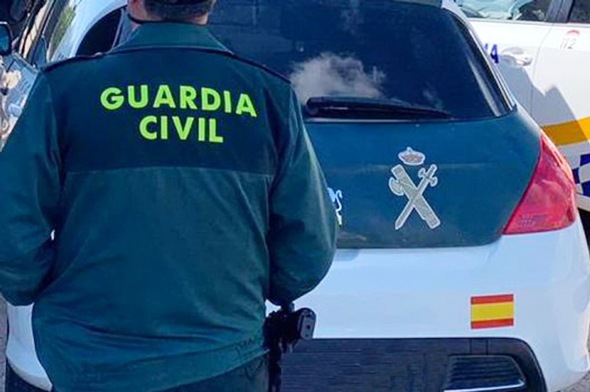 Se investiga a un conductor por conducir ebrio y en sentido contrario por la A-44 en direccin Motril